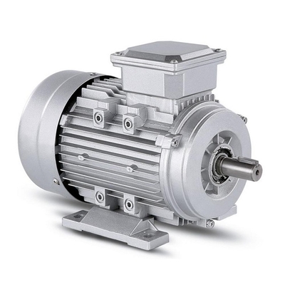 Durable Using Brushless Y3 Series 3 Phase AC Electric Synchronous Motor YE3-160L-2