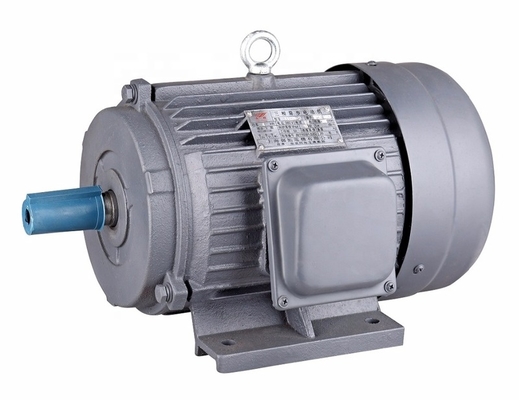 Y Series 132s-5.5kw 2900RPM Totally Enclosed Three Phase Induction Electric Motor